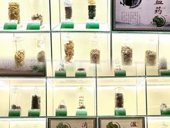 -广东中医药博物馆