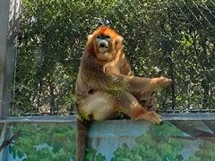 -西安秦岭野生动物园
