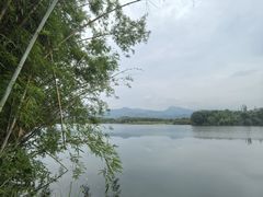 -苏家围·东江画廊旅游景区