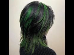 -环球蝶上美业连锁