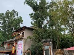 -观澜山水田园