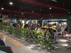 -梧桐阳光国际游泳健身会所(亚运村店)