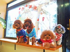 -小意思咖啡店(草桥店)