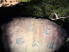 -嘉定紫藤园
