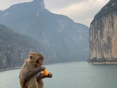 -白帝城·瞿塘峡景区