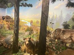 -陕西自然博物馆