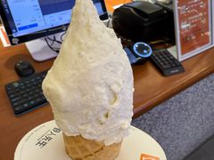 -野人先生Gelato(上海长宁龙之梦店)