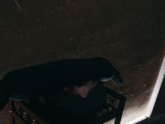 -新紫霞养生·影院足道·SPA(金山区店)