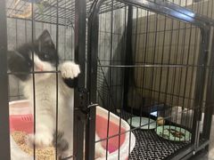 -SAH健身私教工作室(紫东店)