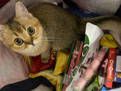 -紫荆城食品交易中心(华强北店)