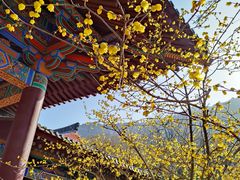 -华清宫景区