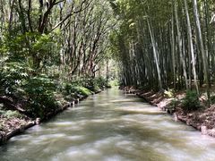 -同里国家湿地公园