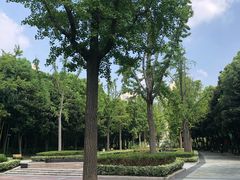 -苏州河梦清园环保主题公园