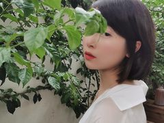 -云里小坐·小院里·团建·宴请·下午茶(三圣乡店)