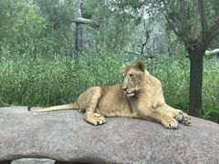 -北京野生动物园