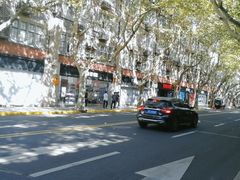 -Ray·Ban雷朋(淮海中路店)