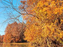 -上海海湾国家森林公园