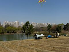 -贡湖湾湿地公园