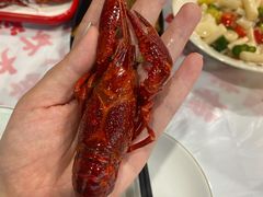 蒸虾-虎虎龙虾大排档(双井店)
