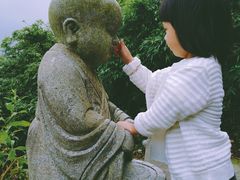 -武陵山森林公园