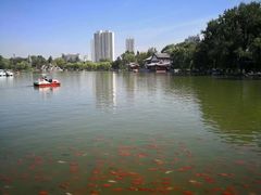 -西宁市人民公园(城西区)