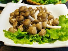 白玉菇-大匠工房古船木艺术餐厅·猪肚鸡专门店(长白仙岛店)