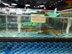 -家乐福(古北店)