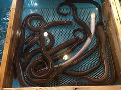 -闯关东东北农家菜(崂山石老人店)