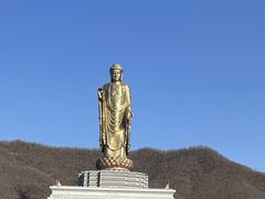 -中原大佛景区