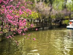 -南汇桃花村