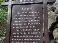 -阳台山自然风景区