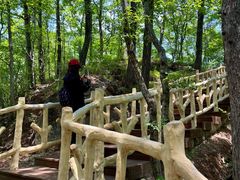 -洛阳白云山景区