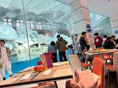 -帝企鹅自助餐厅•儿童岛•真企鹅(长隆企鹅酒店)