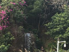-金鸡山公园