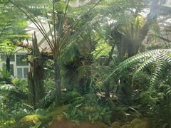 -昆明植物园