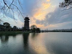 -洋湖国家湿地公园