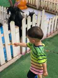 -萌宠亲子动物乐园(槐房万达店)