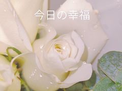 -慢隅法式小馆·生日求婚西餐厅