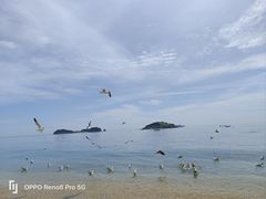 -傅家庄公园