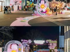 -金茂览秀城