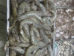 -渔码头食府(蓬莱阁店)