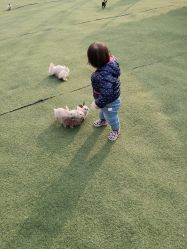 -萌宠亲子动物乐园(槐房万达店)