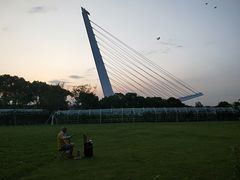 -紫荆广场·花漫里