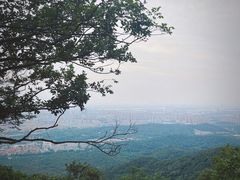 -紫金山山顶公园