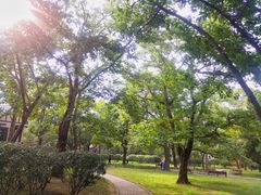 -八大关景区