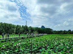 -哈尔滨大剧院