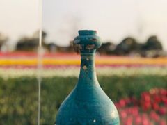 -荷兰花海