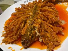 -直隶安家牛肉罩饼(建华店)