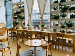 -井观书房(金泰国际大厦店)