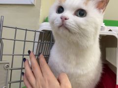 -美联众合动物医院·24h转诊中心
